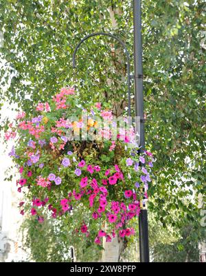 Décorations florales, St John's Wood High Street, St John's Wood, Londres, Angleterre, Royaume-Uni Banque D'Images