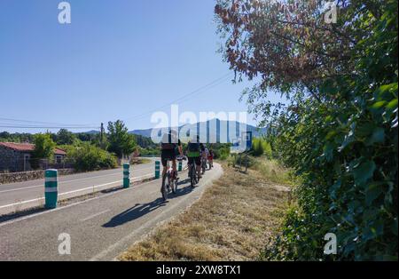 Voie cyclable séparée parallèle à une route locale. Groupe de cyclistes circulant Banque D'Images