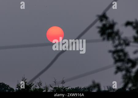 Fordingbridge, Hampshire, Angleterre, Royaume-Uni, 18 août 2024 : Météo. Le soleil devient rouge au coucher du soleil alors qu'il descend au-dessus de la cime des arbres et derrière les fils téléphoniques juste au-dessus de l'horizon. La couleur est accentuée par le ciel brumeux causé par la fumée des feux de forêt nord-américains lorsqu'il passe au-dessus du Royaume-Uni haut dans l'atmosphère. Crédit : Paul Biggins/Alamy Live News Banque D'Images