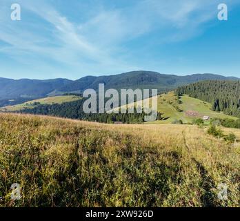 L'été sur la montagne (Carpates, Kryvopillja, Verkhovyna district, région d'Ivano-Frankivsk, Ukraine). Banque D'Images