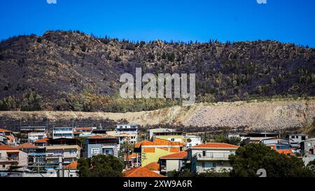 Le feu de forêt qui a commencé sur la montagne Yamanlar à Izmir le 15 août, s'est étendu sur une vaste zone en raison de l'effet du vent. L'incendie a également touché des zones résidentielles et industrielles. 17 maisons ont été brûlées dans l'incendie, 105 maisons ont été évacuées. 44 lieux de travail ont également été évacués. L’incendie, qui a provoqué l’évacuation de 3 quartiers, a affecté une superficie de ​​approximately 1600 hectares. Bien qu'il n'y ait eu aucune perte de vie humaine dans l'incendie, certains animaux des villages sont morts. Le feu de forêt à Izmir Yamanlar a été maîtrisé et a été éteint. Banque D'Images