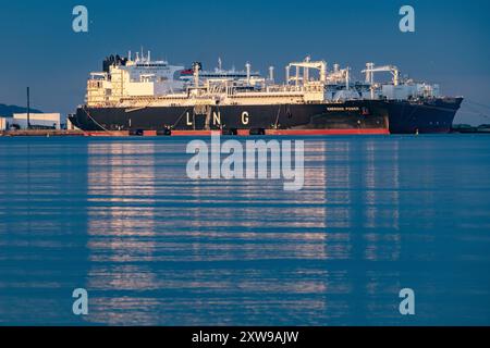 Blick auf das LNG-Spezialschiff Energos Power im Hafen von Mukran AM 16.08.2024 à Sassnitz. DAS umstrittene Fluessiggas-terminal à Mukran auf Ruegen Hat den Probebetrieb aufgenommen. Betreiberfirma des 300 Meter langen Spezialschiffes ist die Deutsche Regas. Es ist mit Flussigerdgas aus Norwegen beladen und das erste von zwei für das terminal geplanten Regasifizierungsschiffen. Mithilfe des Schiffes soll kuenftig Flüssigerdgas umgewandelt, ueber eine Pipeline nach Lubmin transportiert und von dort ins deutsche Gastransportnetz eingespeist werden. Vue du navire spécial GNL Energos Power In Banque D'Images