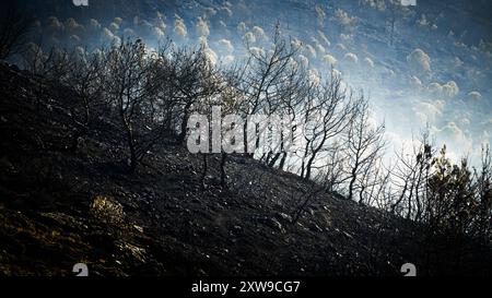 Le feu de forêt qui a commencé sur la montagne Yamanlar à Izmir le 15 août, s'est étendu sur une vaste zone en raison de l'effet du vent. L'incendie a également touché des zones résidentielles et industrielles. 17 maisons ont été brûlées dans l'incendie, 105 maisons ont été évacuées. 44 lieux de travail ont également été évacués. L’incendie, qui a provoqué l’évacuation de 3 quartiers, a affecté une superficie de ​​approximately 1600 hectares. Bien qu'il n'y ait eu aucune perte de vie humaine dans l'incendie, certains animaux des villages sont morts. Le feu de forêt à Izmir Yamanlar a été maîtrisé et a été éteint. Banque D'Images