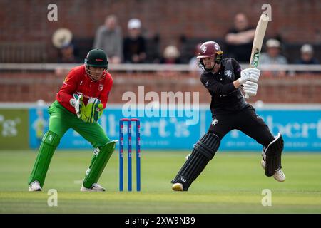 Taunton, Royaume-Uni. 18 août 2024. Lewis Goldsworthy du Somerset battant lors de la demi-finale de la Metro Bank One Day Cup entre le Somerset et le Leicestershire au Cooper Associates County Ground. Crédit : Dave Vokes/Alamy Live News Banque D'Images