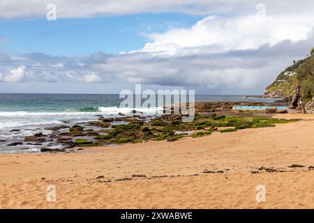 Plage de baleines, plage de surf au nord de Sydney et adjacente à Palm Beach, la plage est vide de gens par un jour d'hiver ensoleillé avec des algues de mousse verte, Australie Banque D'Images