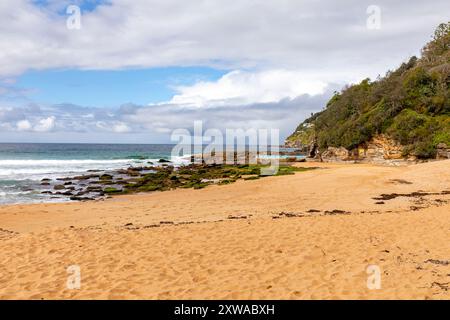 Plage de baleines, plage de surf au nord de Sydney et adjacente à Palm Beach, la plage est vide de gens par un jour d'hiver ensoleillé avec des algues de mousse verte, Australie Banque D'Images