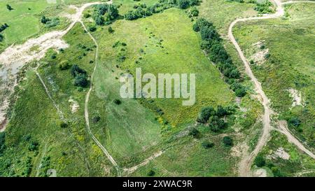 paysage de campagne d'été avec des chemins de terre à travers une prairie verdoyante. vue aérienne de dessus. Banque D'Images