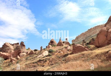 Beau paysage avec cheminée de fée célèbre ou champignons en pierre multitêtes dans la vallée de Pasabag, Cappadoce, Anatolie, Turquie Banque D'Images