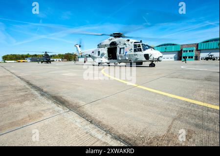 NH90 hélicoptère Marine NH90 hélicoptère Marine et Marine débarquant à la base aérienne de Gilze-Rijen avant de transporter les artistes aux festivals de libération le 5 mai 2016. Gilze-Rijen, pays-Bas. Gilze-Rijen Vliegabsis Gilze-Rijen Noord-Brabant Nederland Copyright : xGuidoxKoppesxPhotox Banque D'Images