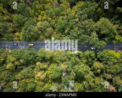 Vidéo de drone d'une voiture conduisant à travers une route sinueuse entourée d'une forêt verte dense. La vue aérienne sereine capture la beauté et la tranquillité de Banque D'Images