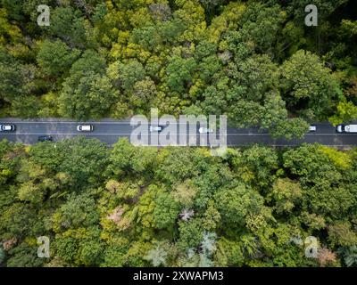 Vidéo de drone d'une voiture conduisant à travers une route sinueuse entourée d'une forêt verte dense. La vue aérienne sereine capture la beauté et la tranquillité de Banque D'Images