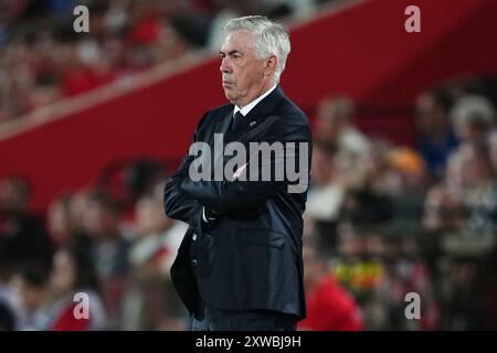 Majorque, Espagne. 18 août 2024. Carlo Ancelotti, entraîneur-chef du Real Madrid, lors du match la Liga EA Sports entre le RCD Mallorca et le Real Madrid, a joué au stade son Moix le 18 août 2024 à Majorque, en Espagne. (Photo de Bagu Blanco/PRESSINPHOTO) crédit : AGENCE SPORTIVE PRESSINPHOTO/Alamy Live News Banque D'Images