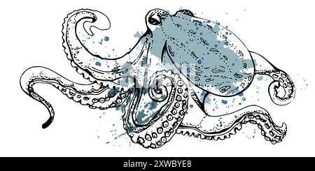 La vie marine, l'océan sous-marin créatures poissons, coquillages algues algues, encre et stylo dessin à la main. Illustration d'objet unique, stylisée, isolée Illustration de Vecteur