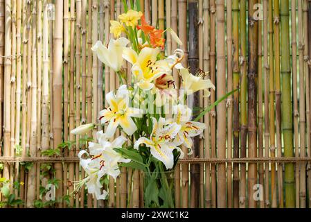 Bouquet de lys jaunes et oranges, lys Auratum, lys Conca d'Or, lys Mister cas, lys Lavon et glaïeuls, (jardin du ruisseau de l'église 2024) Banque D'Images