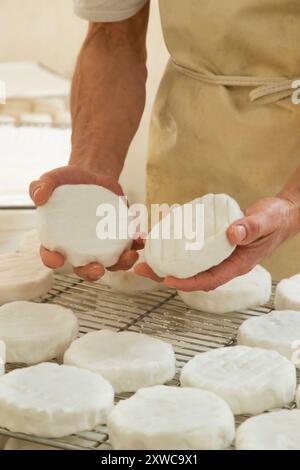 Villers-sur-Auchy (Nord de la France) : Cheesemonger Jean-Marie Beaudoin. Production et vente de fromage de ferme biologique. Fromage au lait cru “Fontenot” Banque D'Images