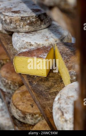 Villers-sur-Auchy (Nord de la France) : Cheesemonger Jean-Marie Beaudoin. Production et vente de fromage de ferme biologique. Fromage au lait cru “Tomme au cidr Banque D'Images
