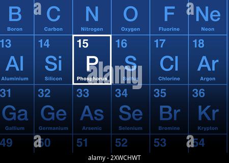 Elément phosphoré dans le tableau périodique. Élément chimique dont le symbole est P et le numéro atomique 15. Dans la mythologie grecque, le nom signifie porteur de lumière. Banque D'Images