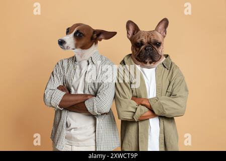 Deux chiens debout avec les bras croisés sur fond Tan Banque D'Images