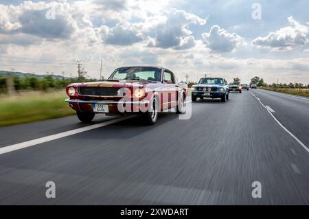 Ford Mustang GT 350 Shelby Banque D'Images