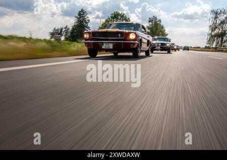 Ford Mustang GT 350 Shelby Banque D'Images