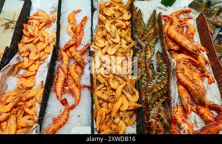 Une sélection de différents types de crevettes, cuites et crues disposées sur la dalle poissonnière dans le sud de la France. Banque D'Images
