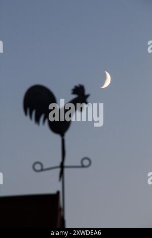 Girouette en forme de coq métallique avec un croissant de lune en arrière-plan Banque D'Images