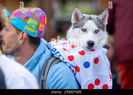 Alpe d'Huez, France - 18 août 2024, ambiance pendant le Tour de France femmes avec Zwift 2024, Etape 8 cycliste, le Grand-Bornand - Alpe d'Huez (149, 9 km) le 18 août 2024 à Alpe d'Huez, France - photo Florian Frison/DPPI crédit : DPPI Media/Alamy Live News Banque D'Images