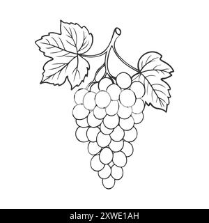 Vigne de raisins, étiquette de vin, icône, logo. Dessin de contour isolé sur fond blanc. Illustration vectorielle Illustration de Vecteur