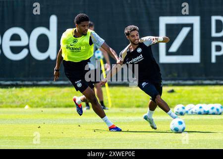 Aurele Amenda (Eintracht Frankfurt, #05) im Zweikampf mit Omar Marmoush (Eintracht Frankfurt, #07), GER, Eintracht Frankfurt, Training, Fussball, Bundesliga, saison 2024/2025, 15.08.2024. Foto : Eibner-Pressefoto/Florian Wiegand Banque D'Images