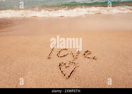 L'inscription je t'aime sur le bord de mer avec des palmiers Banque D'Images
