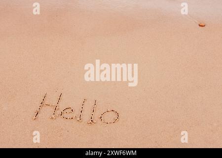 l'inscription bonjour sur le bord de mer avec des palmiers Banque D'Images