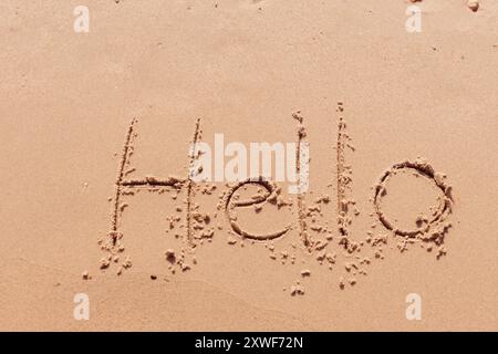 l'inscription bonjour sur le bord de mer avec des palmiers Banque D'Images