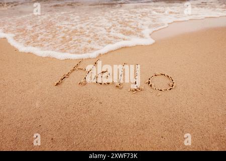l'inscription bonjour sur le bord de mer avec des palmiers Banque D'Images