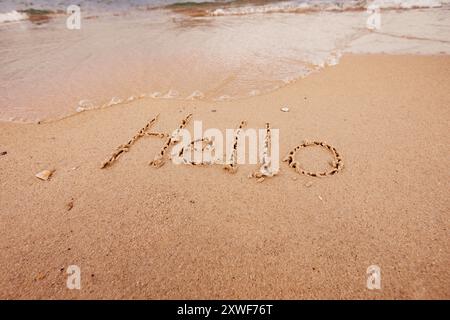 l'inscription bonjour sur le bord de mer avec des palmiers Banque D'Images