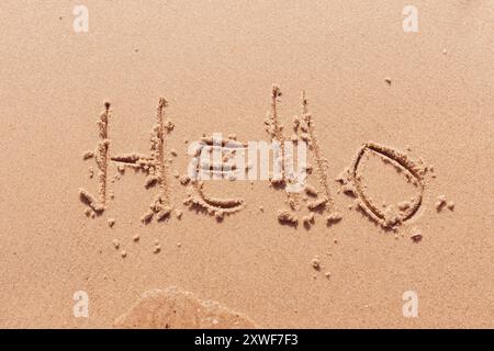 l'inscription bonjour sur le bord de mer avec des palmiers Banque D'Images