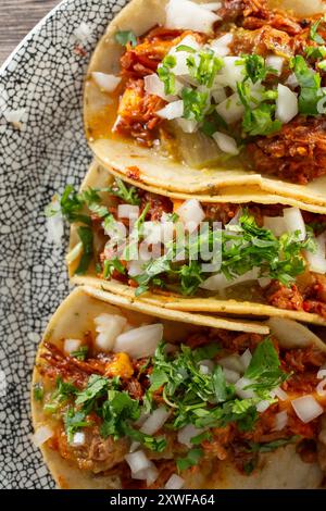 Une vue de haut en bas d'une assiette de tacos al Pastor. Banque D'Images