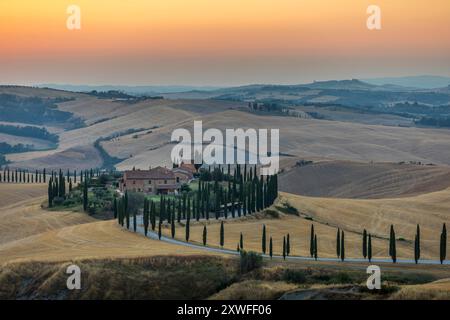 Asciano, Italie - 22 juillet 2023 : Paysage toscan au coucher du soleil. L'un des endroits les plus célèbres avec des cyprès et une route de gravier blanc en Toscane, nea Banque D'Images