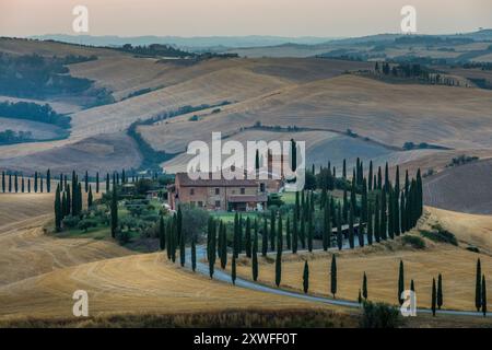 Asciano, Italie - 22 juillet 2023 : Paysage toscan au coucher du soleil. L'un des endroits les plus célèbres avec des cyprès et une route de gravier blanc en Toscane, nea Banque D'Images