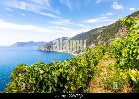 Manarola, Italie - 2 août 2023 : Manarola, Italie - 2 août 2023 : magnifique paysage de la région des cinq terres (Cinque Terre) en Italie Banque D'Images