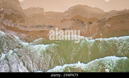 Vue aérienne du littoral du lac Michigan avec mouettes et vagues Banque D'Images