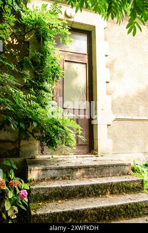 Charmante vieille porte en bois avec Ivy envahi par la végétation sur les marches de pierre ensoleillées du bâtiment historique. Banque D'Images