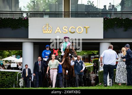 Bluestocking et Rossa Ryan se dirigent vers le départ pour les King George VI & Queen Elizabeth QIPCO Stakes 2024 à Ascot. Crédit JTW Equine images / Alamy Banque D'Images