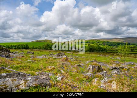 Vue sur Dartmoor depuis Hound Tor Banque D'Images