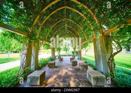 Lush Green Pergola Pathway dans Tranquil Park at Eye Level perspective Banque D'Images