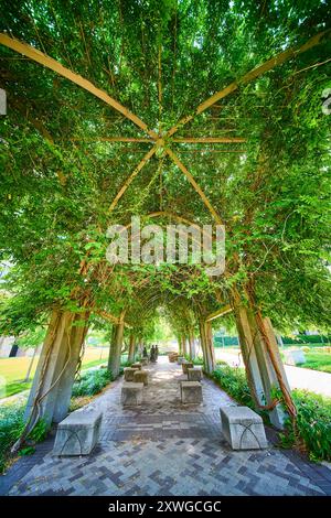 Passerelle ombragée sereine avec bancs en pierre dans Green Canopy à hauteur des yeux Banque D'Images