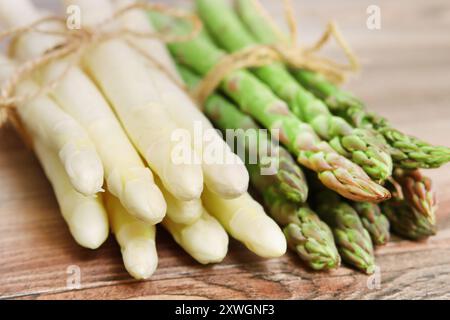 Asperges de jardin, gras de moineau, asperges sauvages (Asparagus officinalis), asperges blanches et vertes fraîchement récoltées Banque D'Images