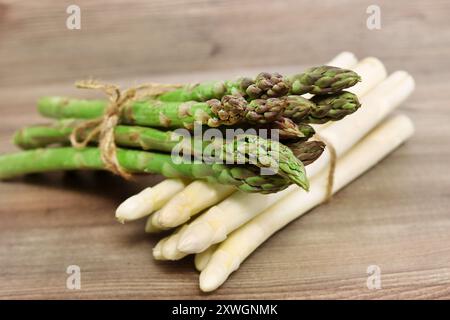 Asperges de jardin, gras de moineau, asperges sauvages (Asparagus officinalis), asperges blanches et vertes fraîchement récoltées Banque D'Images