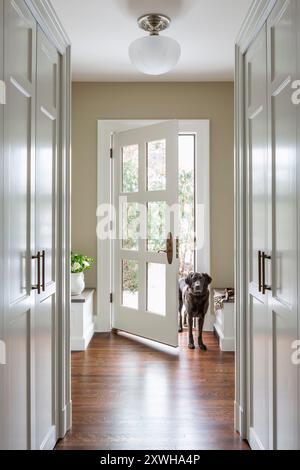 Entrée et mudroom de la maison montrant l'espace de stockage avec le chien dans l'entrée de la porte Banque D'Images