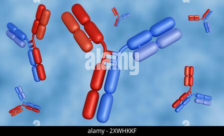 Le rendu 3d des anticorps bispécifiques ou BsAbs ont deux domaines de liaison distincts qui peuvent se lier à deux antigènes ou deux épitopes du même antigène sim Banque D'Images
