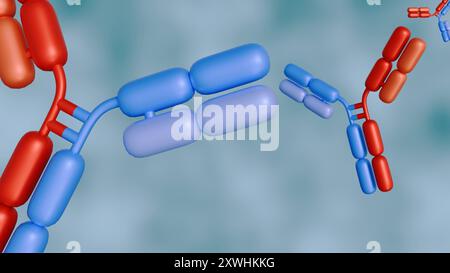 Le rendu 3d des anticorps bispécifiques ou BsAbs ont deux domaines de liaison distincts qui peuvent se lier à deux antigènes ou deux épitopes du même antigène sim Banque D'Images